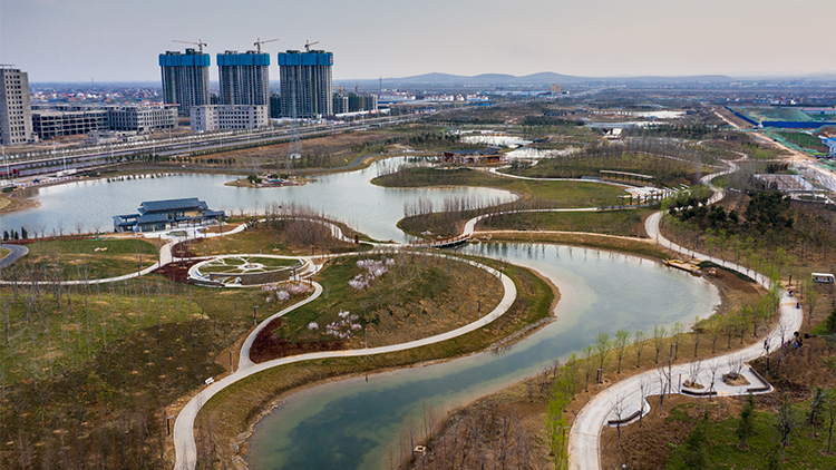 DJI_0414.jpg