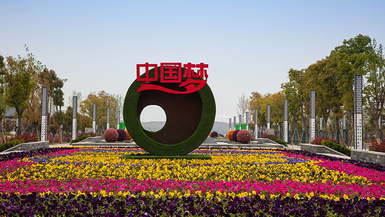 2R2A4813=003.jpg