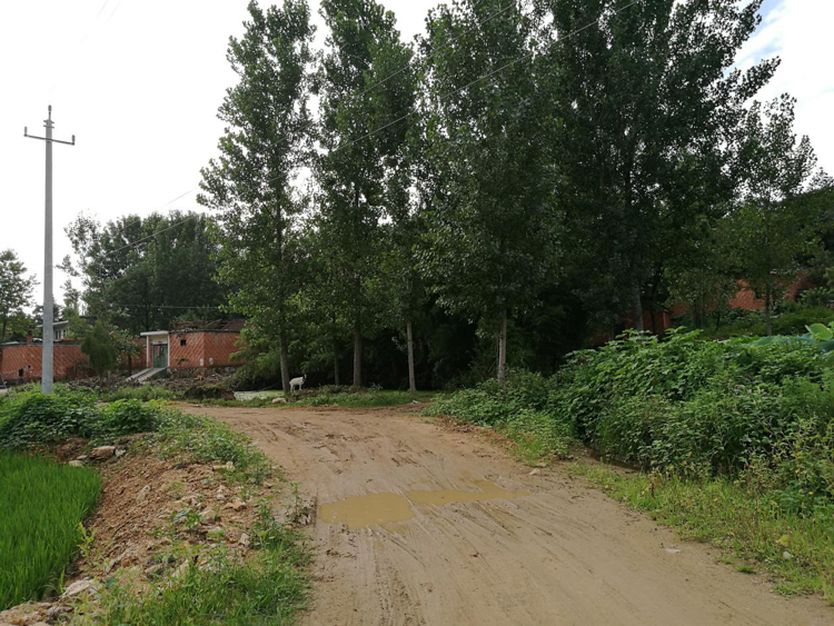 治理前的村路.jpg