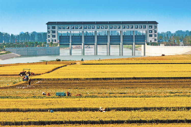 贾鲁河.jpg