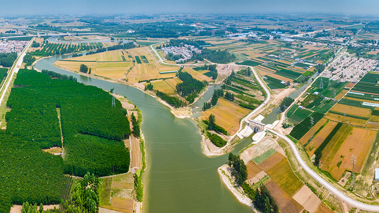 贾鲁河周口闸川汇区堤防段（贾鲁河直流双狼沟）.jpg