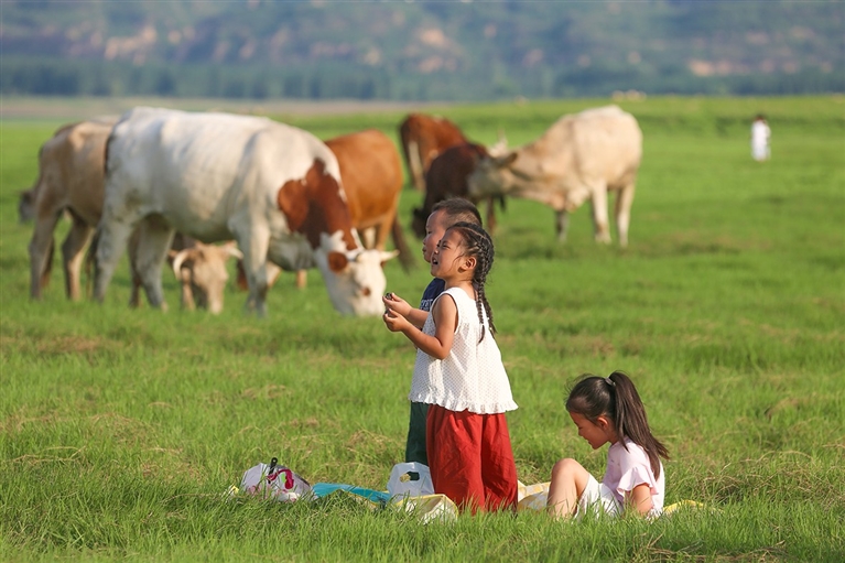 1755248833174071828.jpg aa06a025732d491bbe7d92b9df658721.jpg