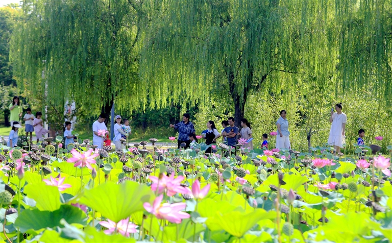 1755248881096056474.jpg 1e13dfccac1c4410b340fafbb972c18c.jpg