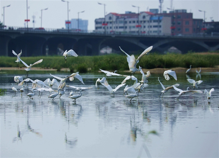 1755248894944056969.jpg e79e891fe09543848597d4ceb30c4063.jpg