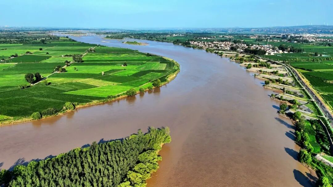 1756796928533017834.jpg 6401.jpg