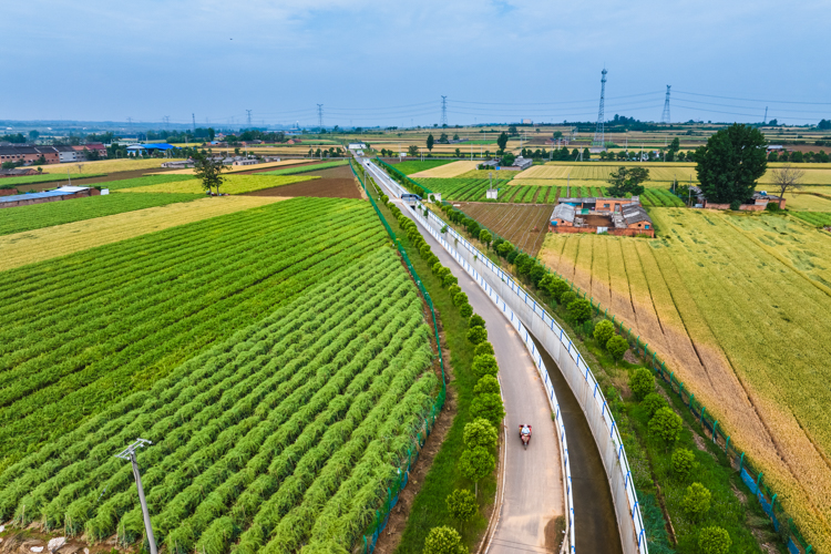 1779355315689022745.jpg DJI_20260519085943_0328_D.jpg