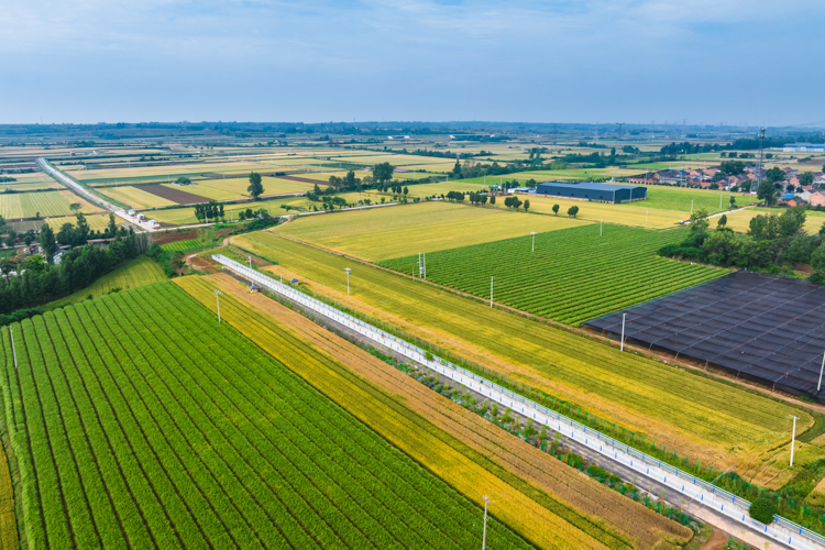 1779356939477032192.jpg DJI_20260519085125_0301_D.jpg